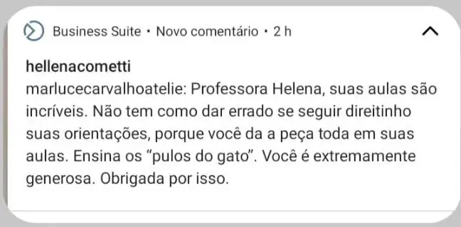 Comentário de aluna: suas aulas são incríveis, não tem como dar errado se seguir as orientações